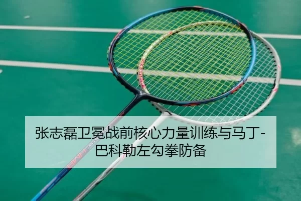 张志磊卫冕战前核心力量训练与马丁-巴科勒左勾拳防备